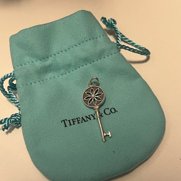 Tiffany & Co. Silver Daisy Key Charm - Picture 1 of 4